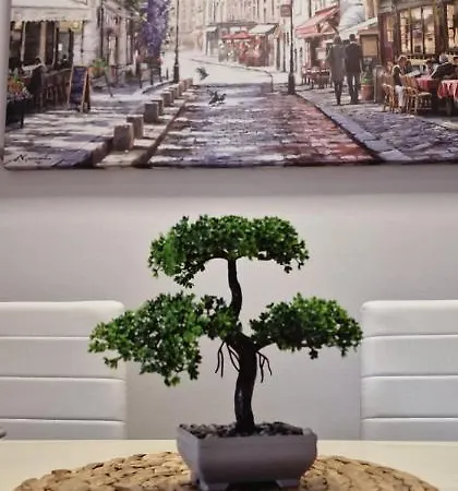 La Casa Di Toto * Perugia