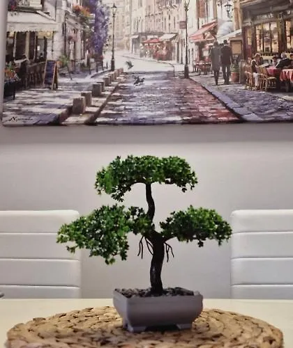 La Casa Di Toto * Perugia